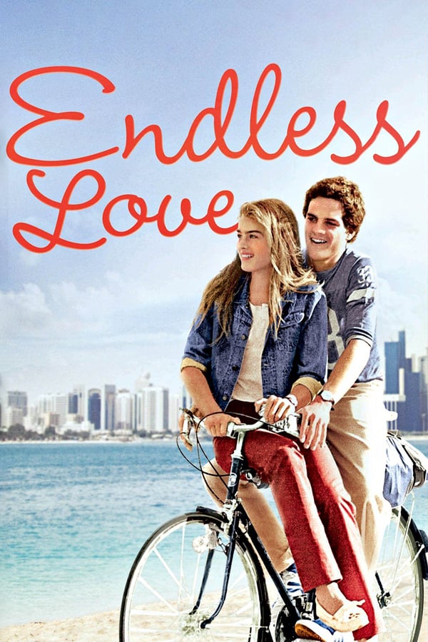 Endless Love (1981) วุ่นรักไม่รู้จบ ดูหนังออนไลน์ HD