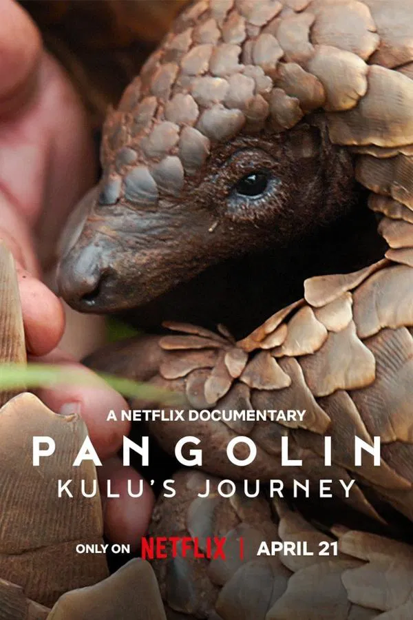 Pangolin: Kulu’s Journey (2025) การเดินทางของคูลู ดูหนังออนไลน์ HD