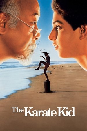 The Karate Kid (1984) คิด คิด ต้องสู้ ดูหนังออนไลน์ HD