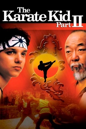 The Karate Kid Part II (1986) คิด คิด ต้องสู้ ภาค 2 ดูหนังออนไลน์ HD