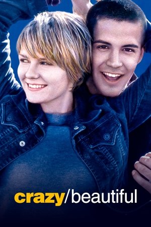 Crazy/Beautiful (2001) รักร้อน วัยแรง ดูหนังออนไลน์ HD