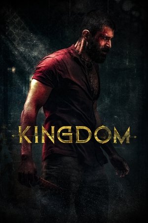 Kingdom (2025) ฝ่าภารกิจเดือด ดูหนังออนไลน์ HD