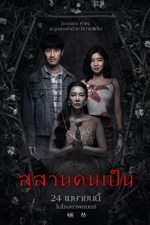 Tomb Watcher (2025) สุสานคนเป็น ดูหนังออนไลน์ HD