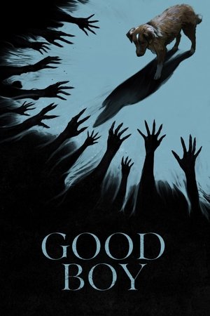Good Boy (2025) มะหมาเห็นผี ดูหนังออนไลน์ HD