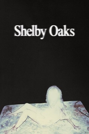 Shelby Oaks (2025) เชลบี้ โอคส์ คลิปเฮี้ยน คดีหลอน ดูหนังออนไลน์ HD