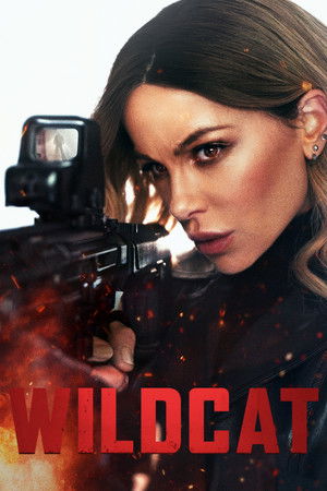 Wildcat (2025) ไวลด์แคท สวยต้องปล้น ดูหนังออนไลน์ HD