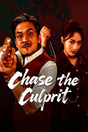 Chase the Culprit (2025) ไล่ล่าวายร้าย ดูหนังออนไลน์ HD