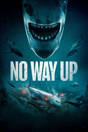 No Way Up (2024) งาบคลั่งไฟลต์ ดูหนังออนไลน์ HD